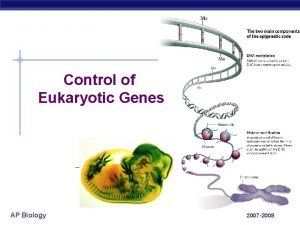 Control of Eukaryotic Genes AP Biology 2007 2008