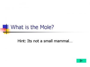 What is the Mole Hint Its not a