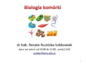 Biologia komrki dr hab Renata RuciskaSobkowiak dyur we
