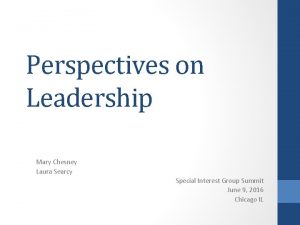 Perspectives on Leadership Mary Chesney Laura Searcy Special