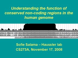 Understanding the function of conserved noncoding regions in