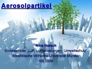 Aerosolpartikel Nina Harsch Blockseminar Luft Luftbelastungen Umweltschutz Westflische