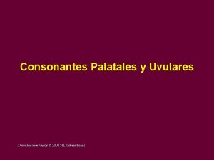 Consonantes Palatales y Uvulares Derechos reservados 2002 SIL