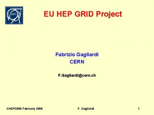 EU HEP GRID Project Fabrizio Gagliardi CERN F