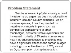 Problem Statement Gracilaria vermiculophylla a newly arrived invasive