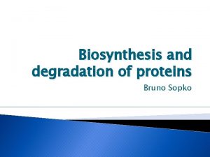 Biosynthesis and degradation of proteins Bruno Sopko Content