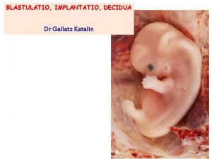 BLASTULATIO IMPLANTATIO DECIDUA Dr Gallatz Katalin MI TRTNT