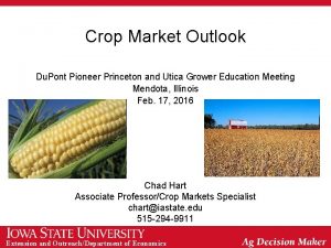 Crop Market Outlook Du Pont Pioneer Princeton and