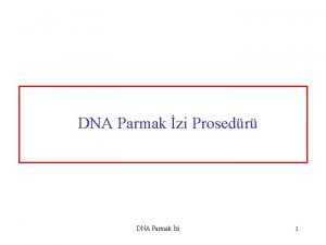 DNA Parmak zi Prosedr DNA Parmak zi 1