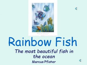 Rainbow Fish The most beautiful fish in the