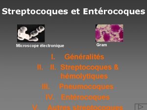 Streptocoques et Entrocoques Microscope lectronique Gram I Gnralits