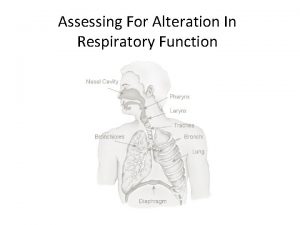 Assessing For Alteration In Respiratory Function Respiratory Alterations