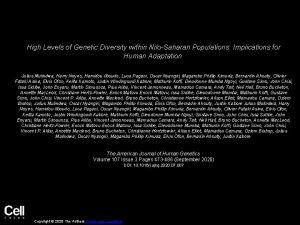 High Levels of Genetic Diversity within NiloSaharan Populations