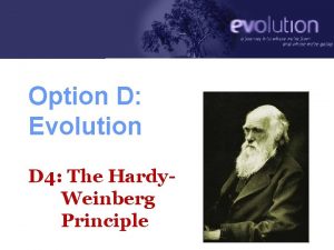 Option D Evolution D 4 The Hardy Weinberg