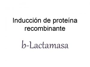 Induccin de protena recombinante bLactamasa Tecnologa de DNA