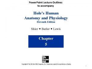 Power Point Lecture Outlines to accompany Holes Human