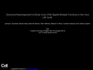 Structural Rearrangement of Ebola Virus VP 40 Begets