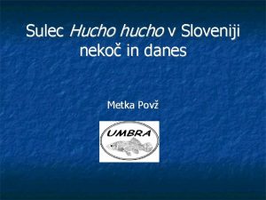 Sulec Hucho hucho v Sloveniji neko in danes