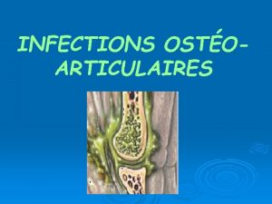 INFECTIONS OSTOARTICULAIRES PLAN I Introduction II Physiopathologie III