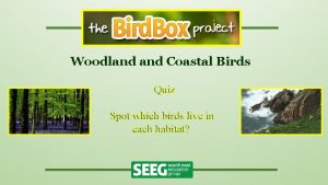 Woodland Coastal Birds Quiz Spot which birds live