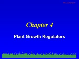 MSU Extension Chapter 4 Plant Growth Regulators MSU
