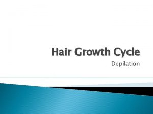 Hair Growth Cycle Depilation Hair structure Hair growth