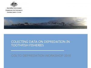 COLECTING DATA ON DEPREDATION IN TOOTHFISHERIES COLTO DEPREDATION