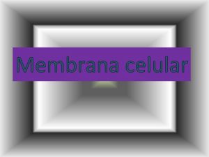Membrana celular Membrana celular La membrana celular o