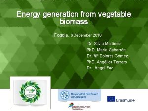 Showeet com Energy generation from vegetable biomass Foggia