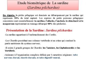 Etude biomtrique de La sardine Sardina pilchardus En