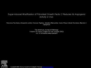 SugarInduced Modification of Fibroblast Growth Factor 2 Reduces