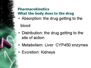 Pharmacokinetics What the body does to the drug