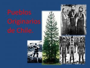 Pueblos Originarios de Chile Se pueden distinguir los