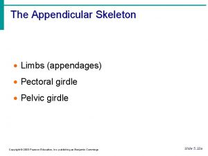 The Appendicular Skeleton Limbs appendages Pectoral girdle Pelvic