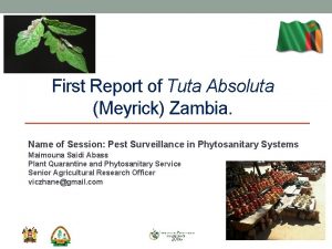 First Report of Tuta Absoluta Meyrick Zambia Name