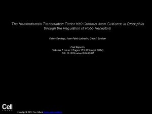 The Homeodomain Transcription Factor Hb 9 Controls Axon