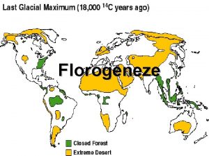 Florogeneze Florogeneze Aktuln flra zem Odpovd aktulnm klimatickm