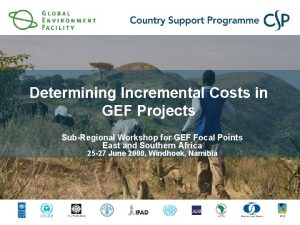 Determining Incremental Costs in GEF Projects SubRegional Workshop