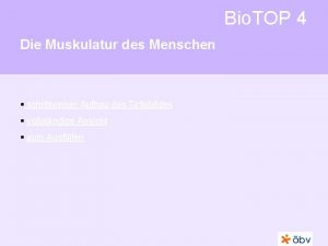 Bio TOP 4 Die Muskulatur des Menschen schrittweiser