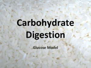 Carbohydrate Digestion Glucose Model A carbohydrate also called