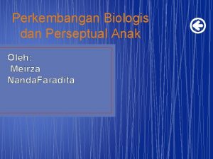 Perkembangan Biologis dan Perseptual Anak Oleh Meirza Nanda