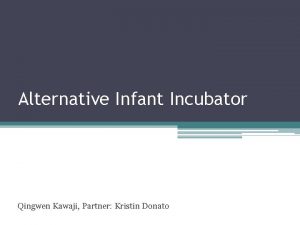 Alternative Infant Incubator Qingwen Kawaji Partner Kristin Donato