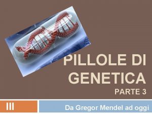 PILLOLE DI GENETICA PARTE 3 III Da Gregor