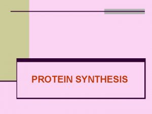 PROTEIN SYNTHESIS PROTEINS Proteins are the basic building