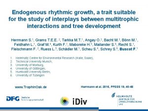 Endogenous rhythmic growth a trait suitable for the
