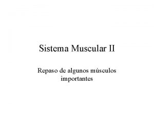 Sistema Muscular II Repaso de algunos msculos importantes