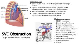 Anatomy recap Superior vena cava drains deoxygenated blood