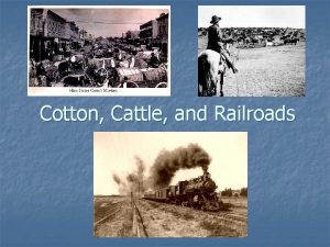 Cotton Cattle and Railroads MAJOR ERAS IN TEXAS