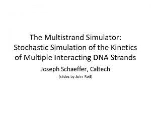 The Multistrand Simulator Stochastic Simulation of the Kinetics