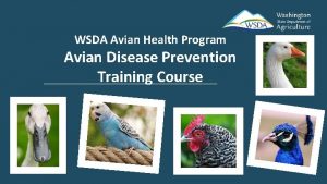 WSDA Avian Health Program Avian Disease Prevention Training